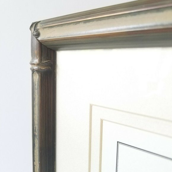 1700s Sand Dollar Echinoderm Print, Natural History Collection by Benard Direxit - Picture 9 of 11